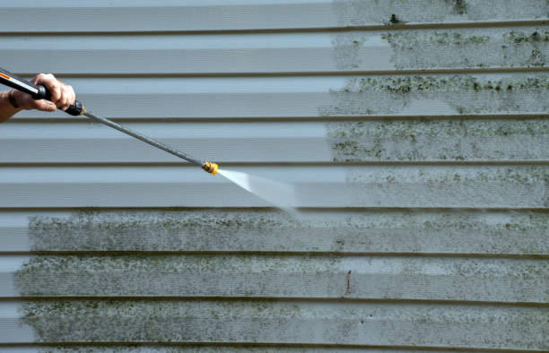 Best Exterior Home Cleaning  in Waverly, OH