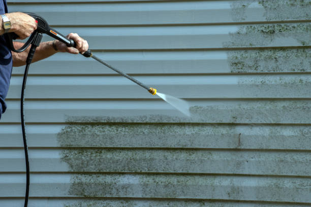 Best Roof Pressure Washing  in Waverly, OH